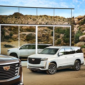 Luxury, Exotic & Premium Vehicles